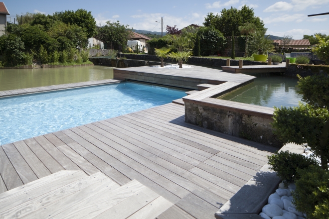 bassin milieu piscicole