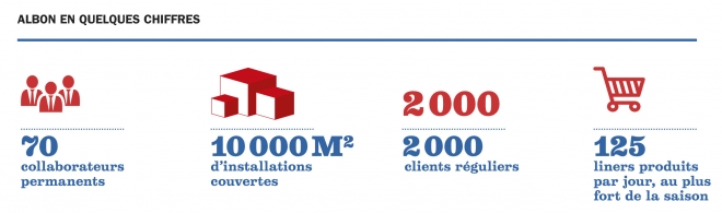 albon chiffre albon chiffre