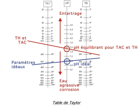 balance de taylor balance de taylor