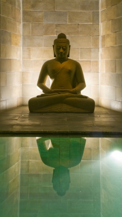 bouddha piscine