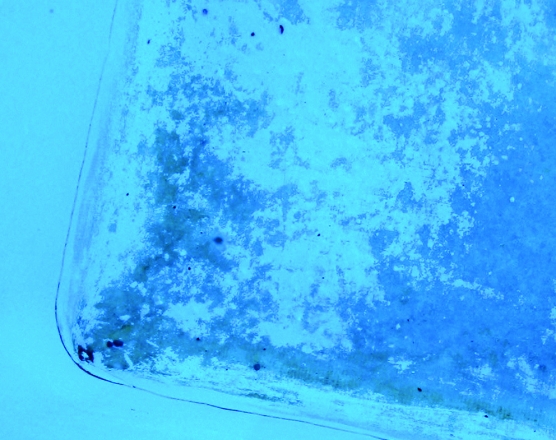 traitement eau pisicne