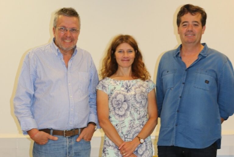 BTS technico-commercial piscine