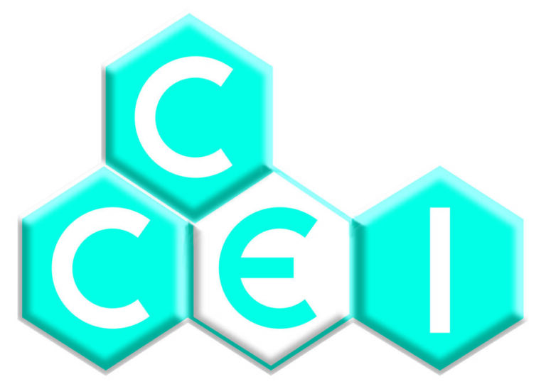 Piscine connectée : CCEI