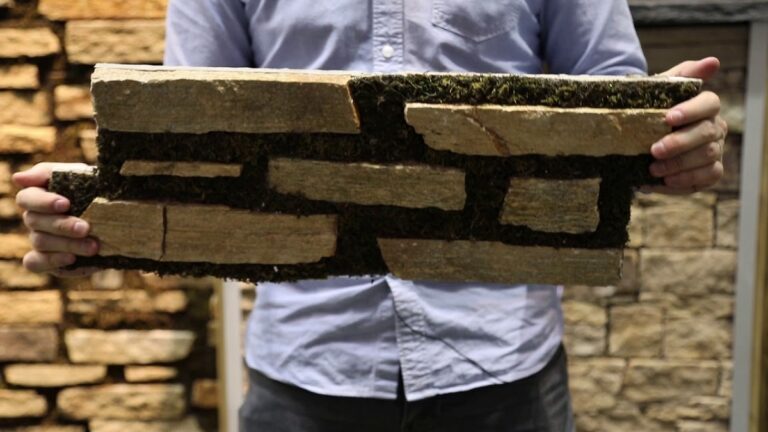 STONEPANEL : LE PANNEAU VIVANT PAR CUPASTONE