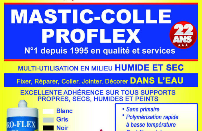 mastic-colle Proflex1
