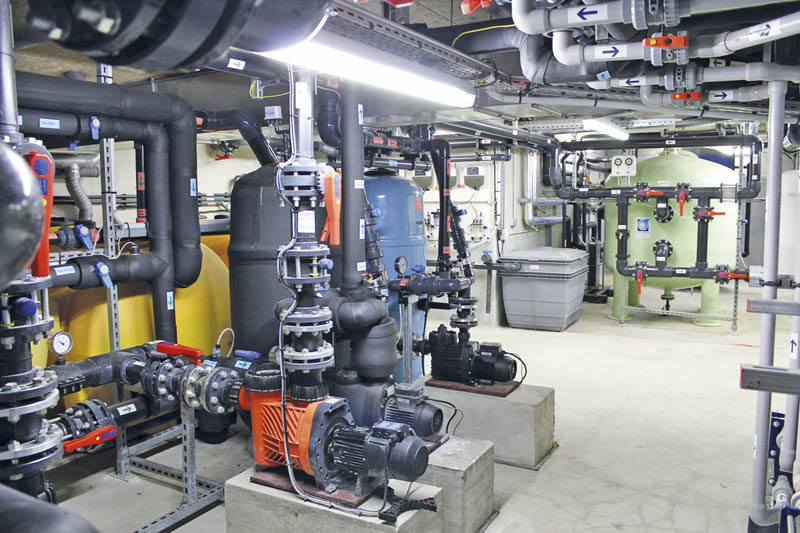 jaune et bleu l'esprit piscine