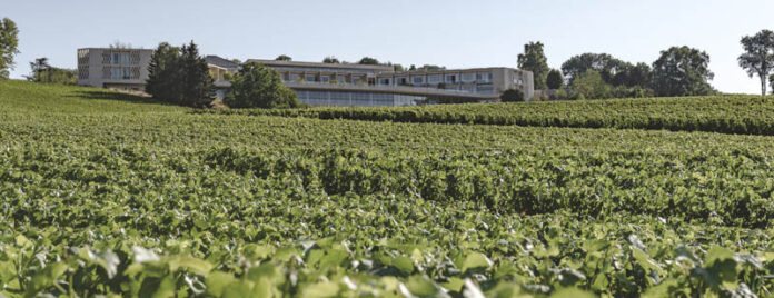 everblue Batisse vue exterieure vigne