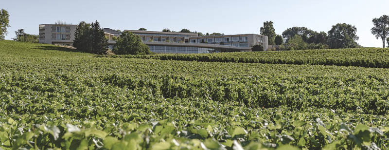 everblue Batisse vue exterieure vigne