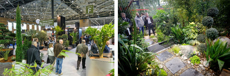 PAYSALIA-ROCALIA 2017