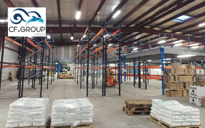 CF GROUP evolution site bruge