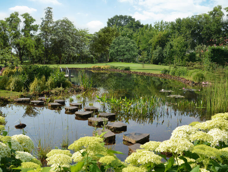 Aqua®Forte, une marque d’équipements pour bassins naturels de baignade